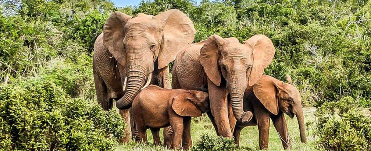 Photo de Yamoussoukro